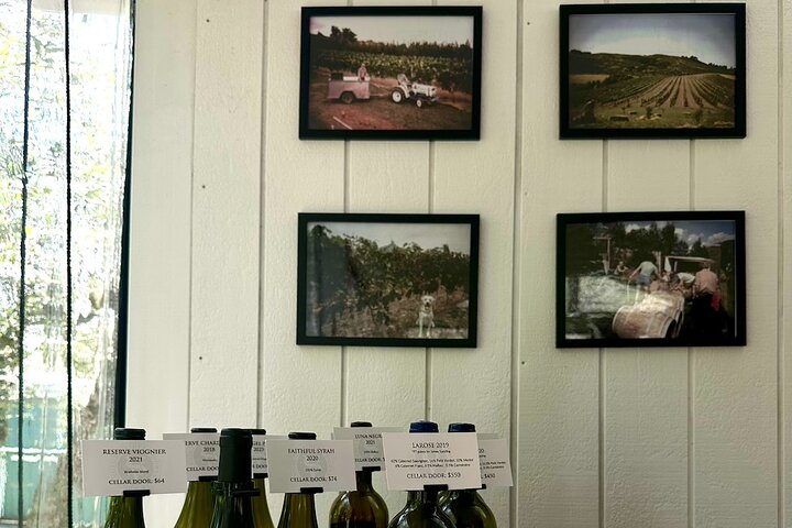 Waiheke island wine tours with Waitiki Tours