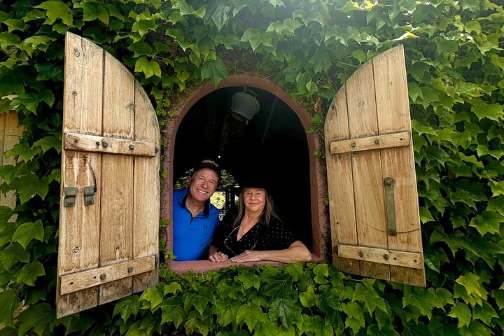 Waiheke island wine tours with Waitiki Tours