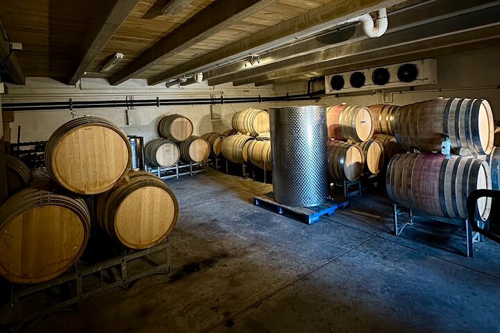 Waiheke island wine tours with Waitiki Tours
