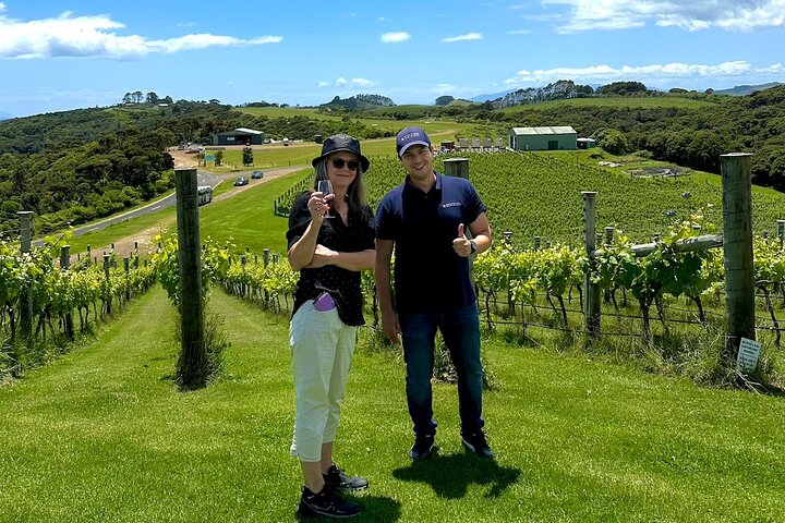 Waiheke island wine tours with Waitiki Tours