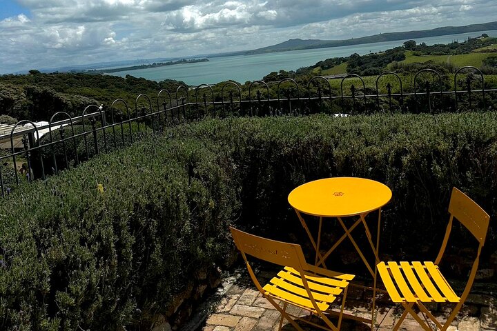Waiheke island wine tours with Waitiki Tours