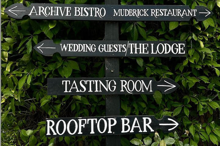 Waiheke island wine tours with Waitiki Tours
