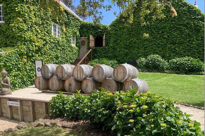 Waiheke island wine tours with Waitiki Tours