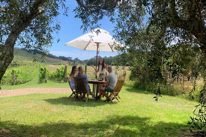 Waiheke island wine tours with Waitiki Tours