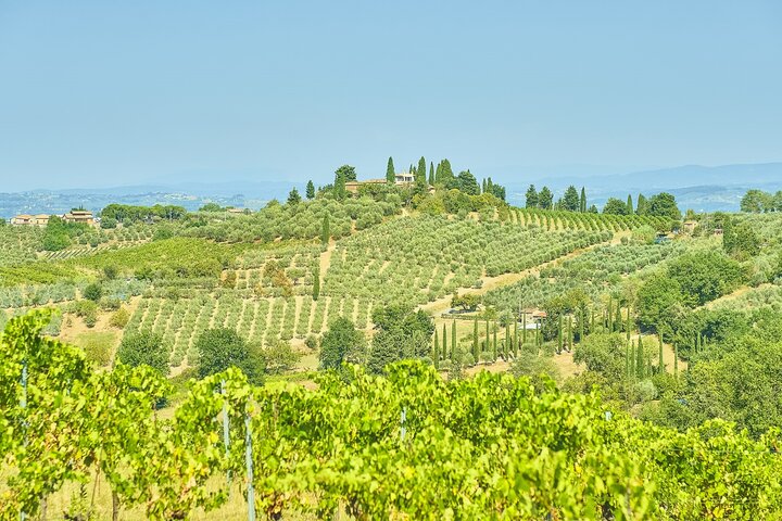 Pisa, Siena, San Gimignano with Lunch & Wine Tasting at a Winery