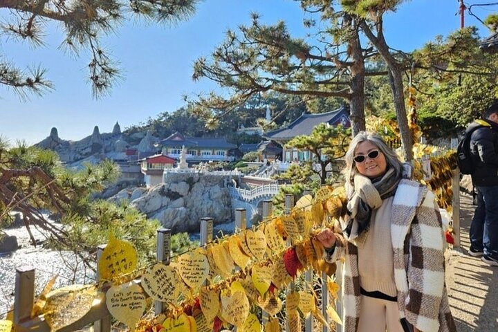 Busan Cruise Port – Premium Small Group Tour (Max 6 Guests)