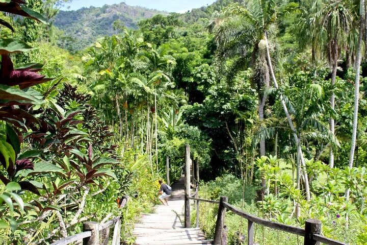 Best of Nadi Highlights