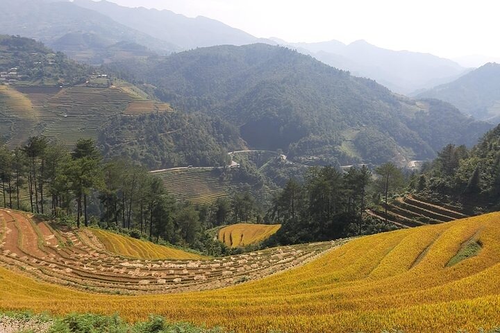 Mu Cang Chai Scenic Car Tour with Local Guide & Beeswax Painting