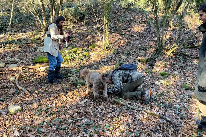 Truffle Hunting in Chianti, pasta class and lunch