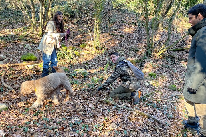 Truffle Hunting in Chianti, pasta class and lunch
