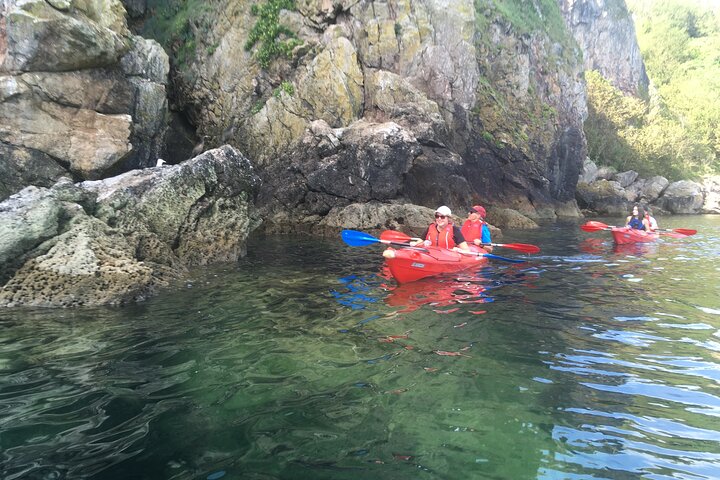 Wildlife, Sea Cave and Bushcraft Kayak Safari in English Riviera