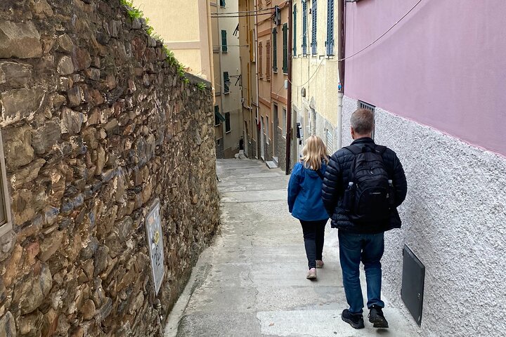 Cinque Terre PrivateTour by van from Lucca, Pisa or LaSpezia Port