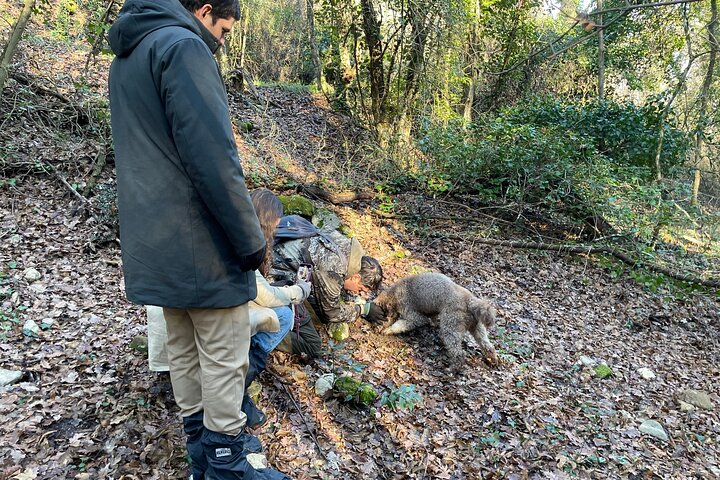 Truffle Hunting in Chianti, pasta class and lunch