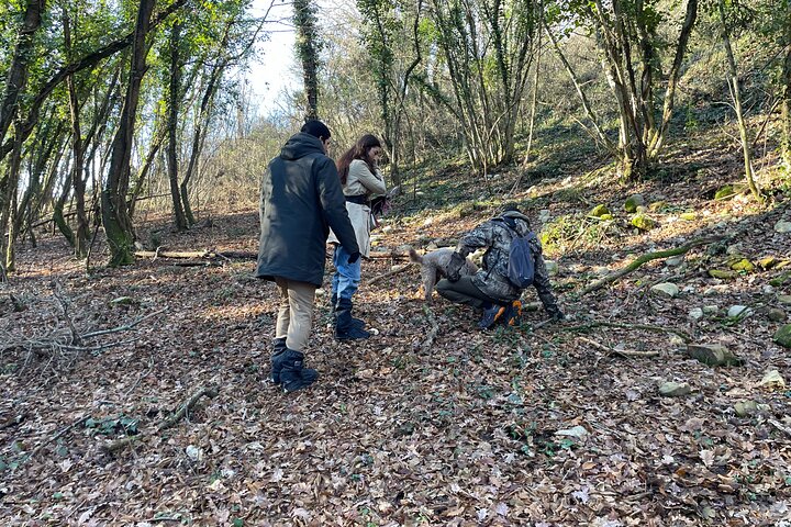 Truffle Hunting in Chianti, pasta class and lunch