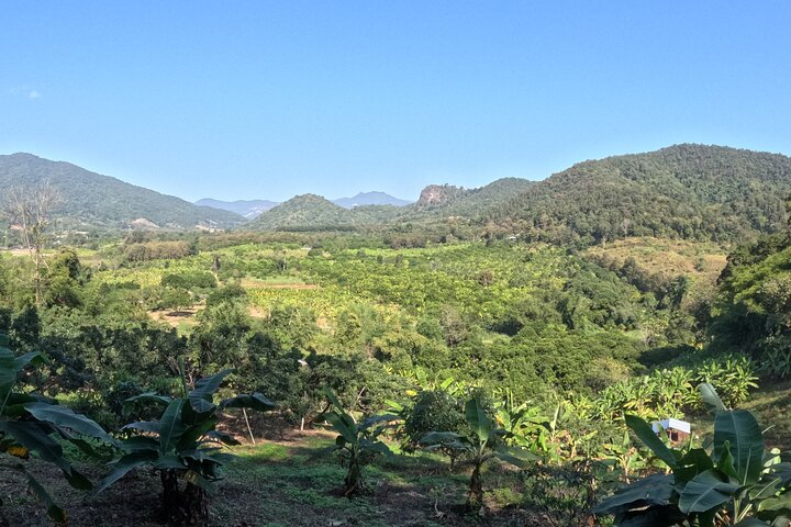 Premium Half-Day Ethical Elephant Sanctuary Experience Max9Guest