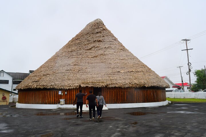 Guyana Layover Tour