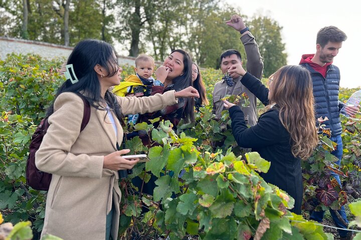 Bubble Champagne Tour from Epernay (Small group half day tour)