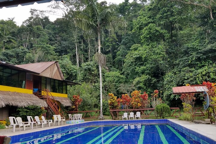 Grand Selva 3-Day Jungle Expedition Amazonia Ecuador rainforest