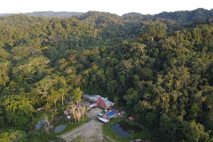 Grand Selva 3-Day Jungle Expedition Amazonia Ecuador rainforest