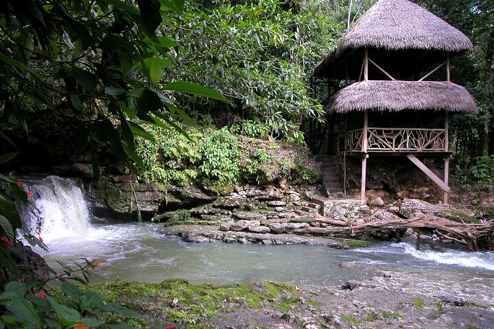 Grand Selva 3-Day Jungle Expedition Amazonia Ecuador rainforest