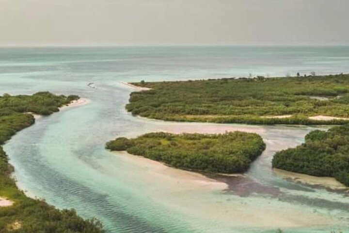 Full Day Tour with Fishing and Snorkeling from Holbox