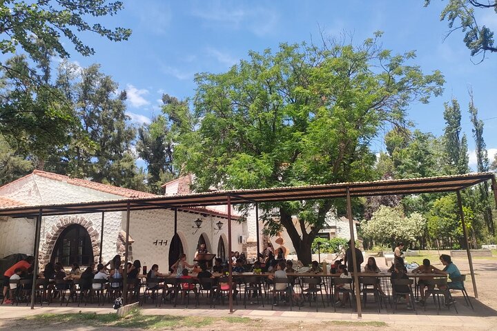 Zipline and Arborism without Lines for 1 Day on the Banks of the Mendoza River