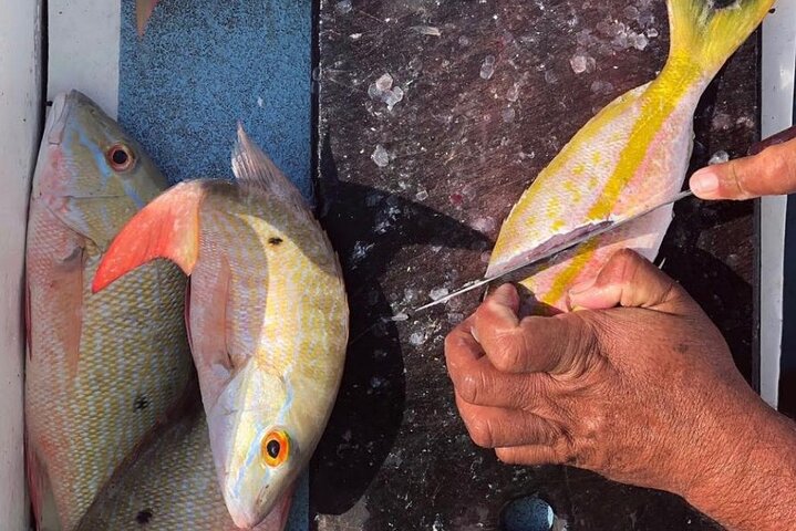 Full Day Tour with Fishing and Snorkeling from Holbox