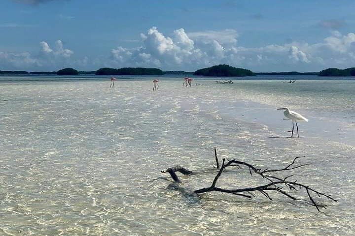 Full Day Tour with Fishing and Snorkeling from Holbox