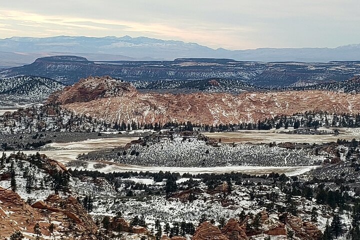 Zion National Park/Kolob Terrace Private 1/2 Day Sightseeing Tour