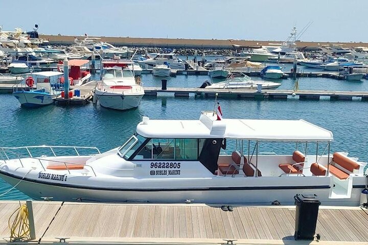 Daymaniyat Island Snorkeling with picnic lunch