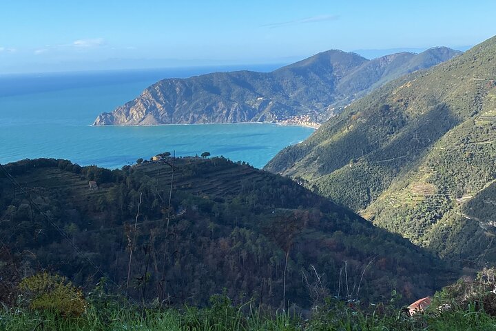 Cinque Terre PrivateTour by van from Lucca, Pisa or LaSpezia Port