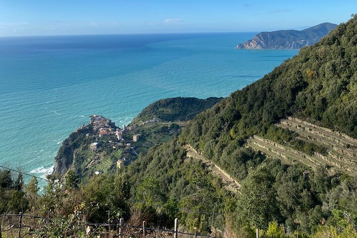 Cinque Terre PrivateTour by van from Lucca, Pisa or LaSpezia Port