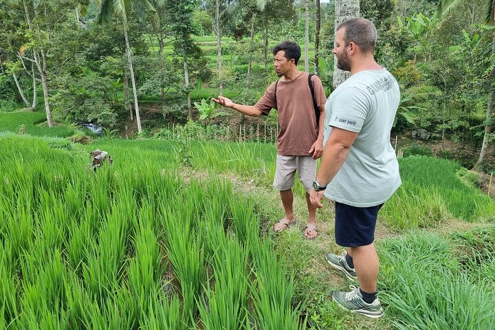 Lombok Private Customize Tour