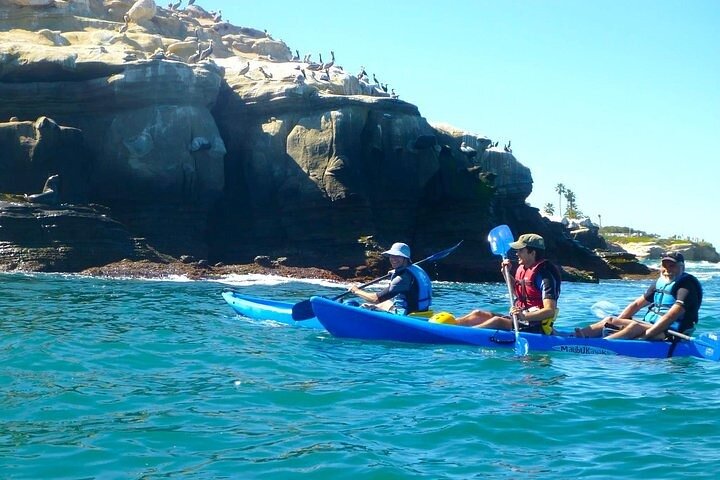 La Jolla Sea Caves Kayak Tour (Single Kayak)