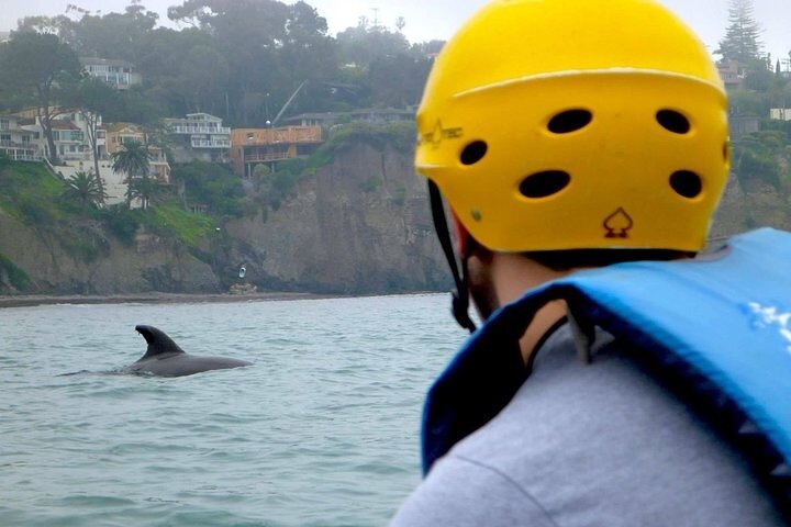 La Jolla Sea Caves Kayak Tour (Single Kayak)