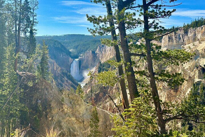 Yellowstone Lower Loop Full-Day Tour