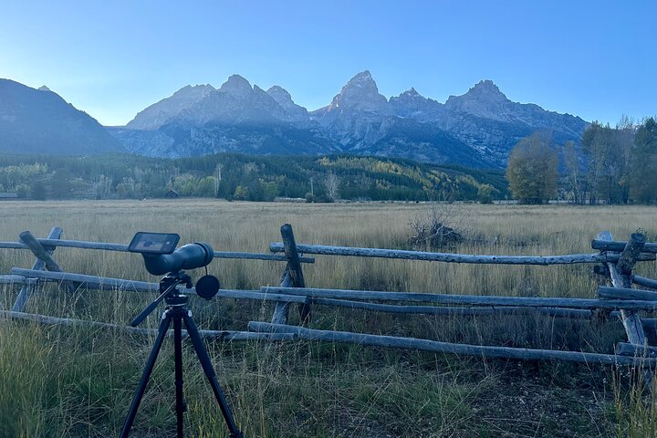 Grand Teton Half Day Tour