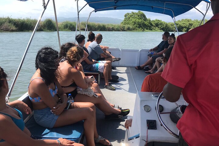 YS Falls and Black River Safari Including Pelican Bar Tour