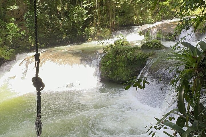 YS Falls and Black River Safari Including Pelican Bar Tour