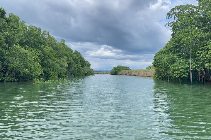YS Falls and Black River Safari Including Pelican Bar Tour