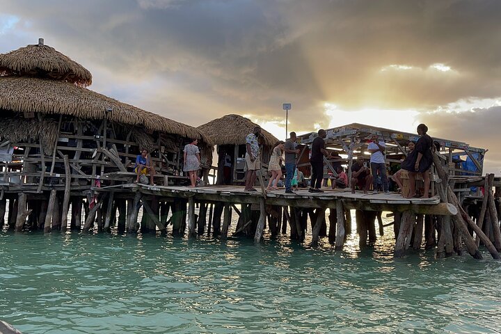 YS Falls and Black River Safari Including Pelican Bar Tour