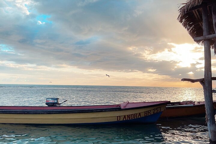 YS Falls and Black River Safari Including Pelican Bar Tour