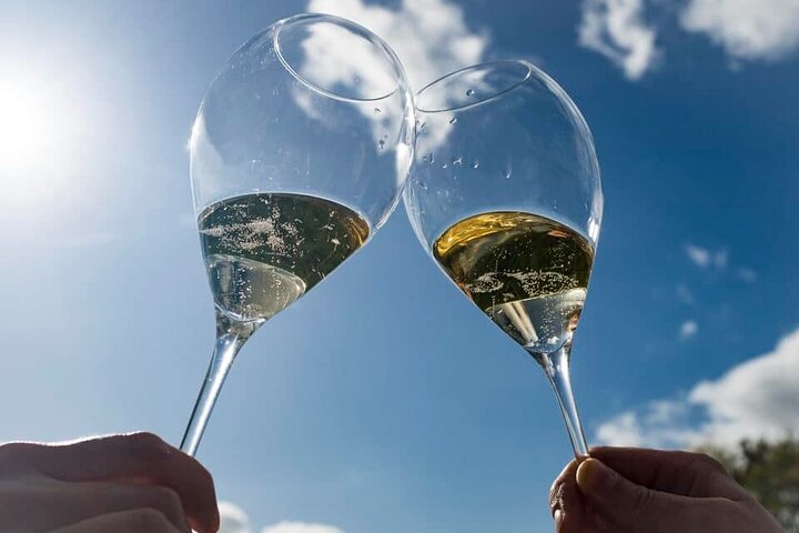 The Must-sees 3h30 from Epernay (Private Half day Champagne Tour)