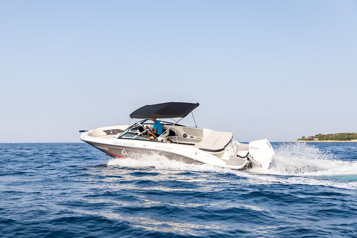 Dolphin Watching Sunset Speedboat Tour with Drinks in Rovinj