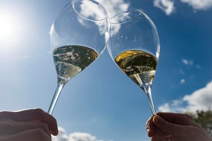 The Connoisseurs from Epernay (Private Half day Champagne Tour)