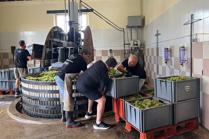 The Connoisseurs from Epernay (Private Half day Champagne Tour)