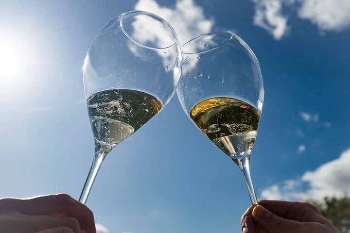 Gold Champagne Experience from Epernay (Private Full day tour)