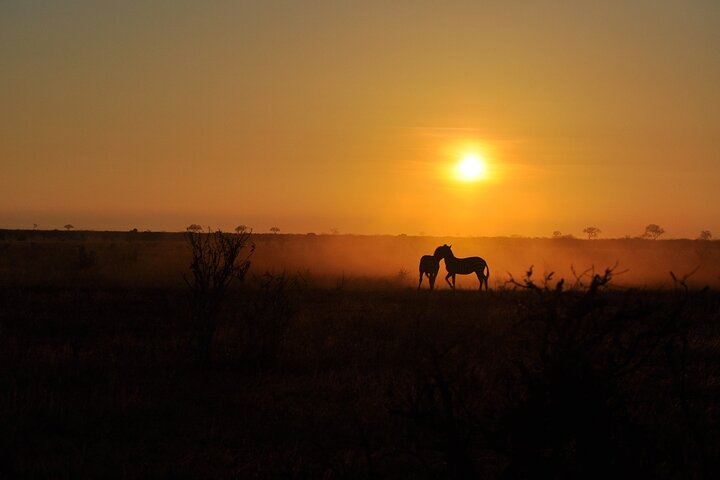 OVERNIGHT SAFARI TO TSAVO EAST NATIONAL PARK FROM MOMBASA orDIANI