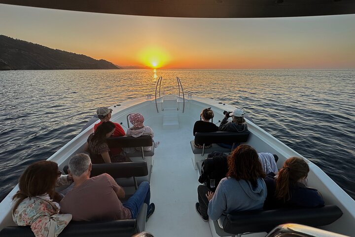 2 bays, mornings and afternoons, and sunset with cava