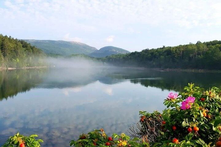 4-Hour Private Acadia Tour Cadillac Mountain & Somes Sound Fiord